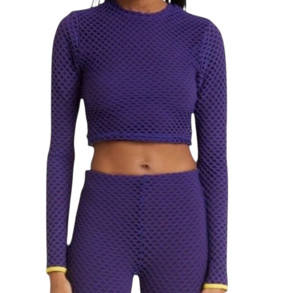 Long Sleeve Mesh Crop Top in Purple by Sammy B - Picture 1 of 7